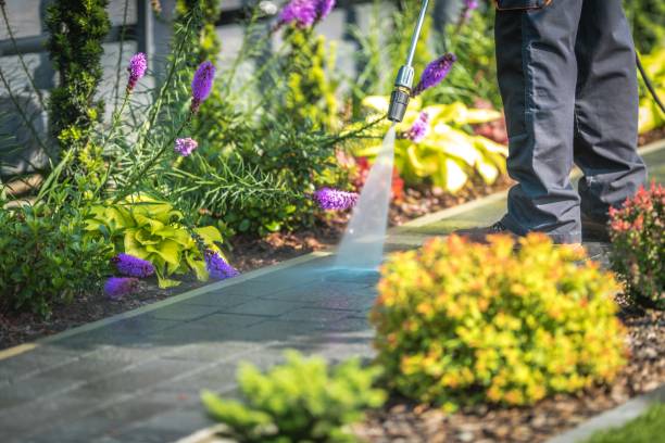 Trusted Chesapeake, VA Pressure Washing Services Experts